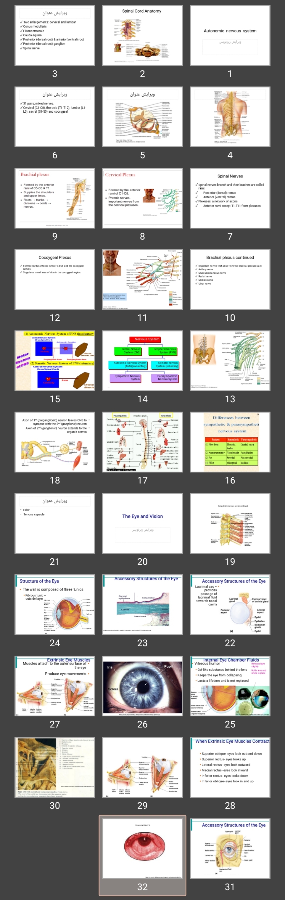 پاورپوینت Autonomic nervous system