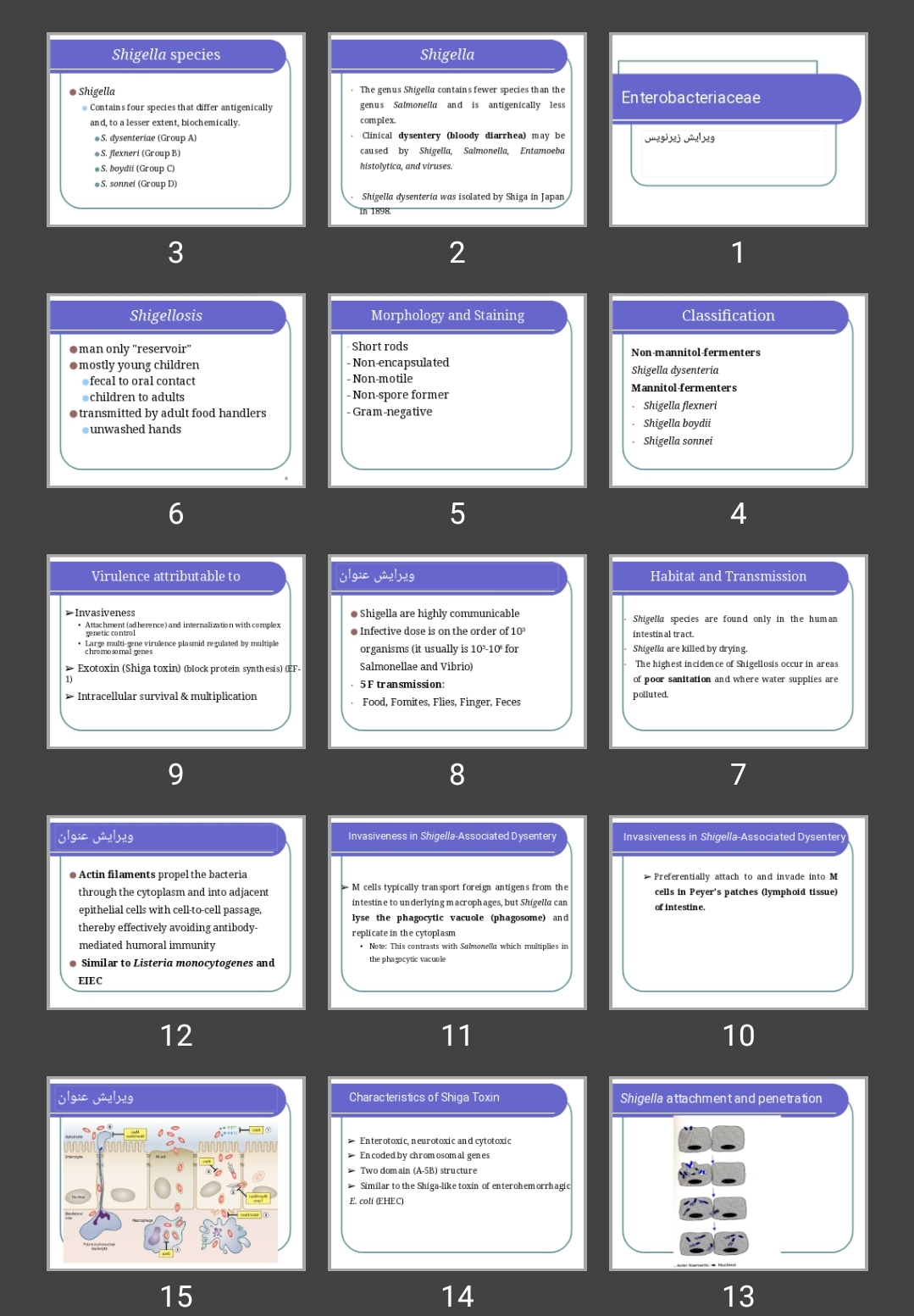 پاورپوینت (Enterobacteriaceae (Shigella