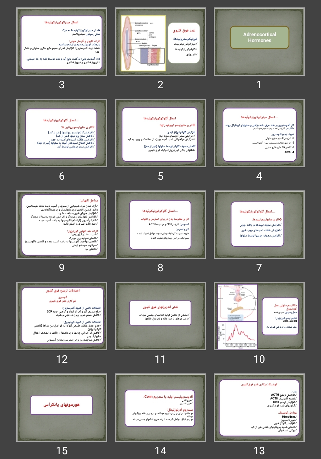 پاورپوینت Adrenocortical Hormones