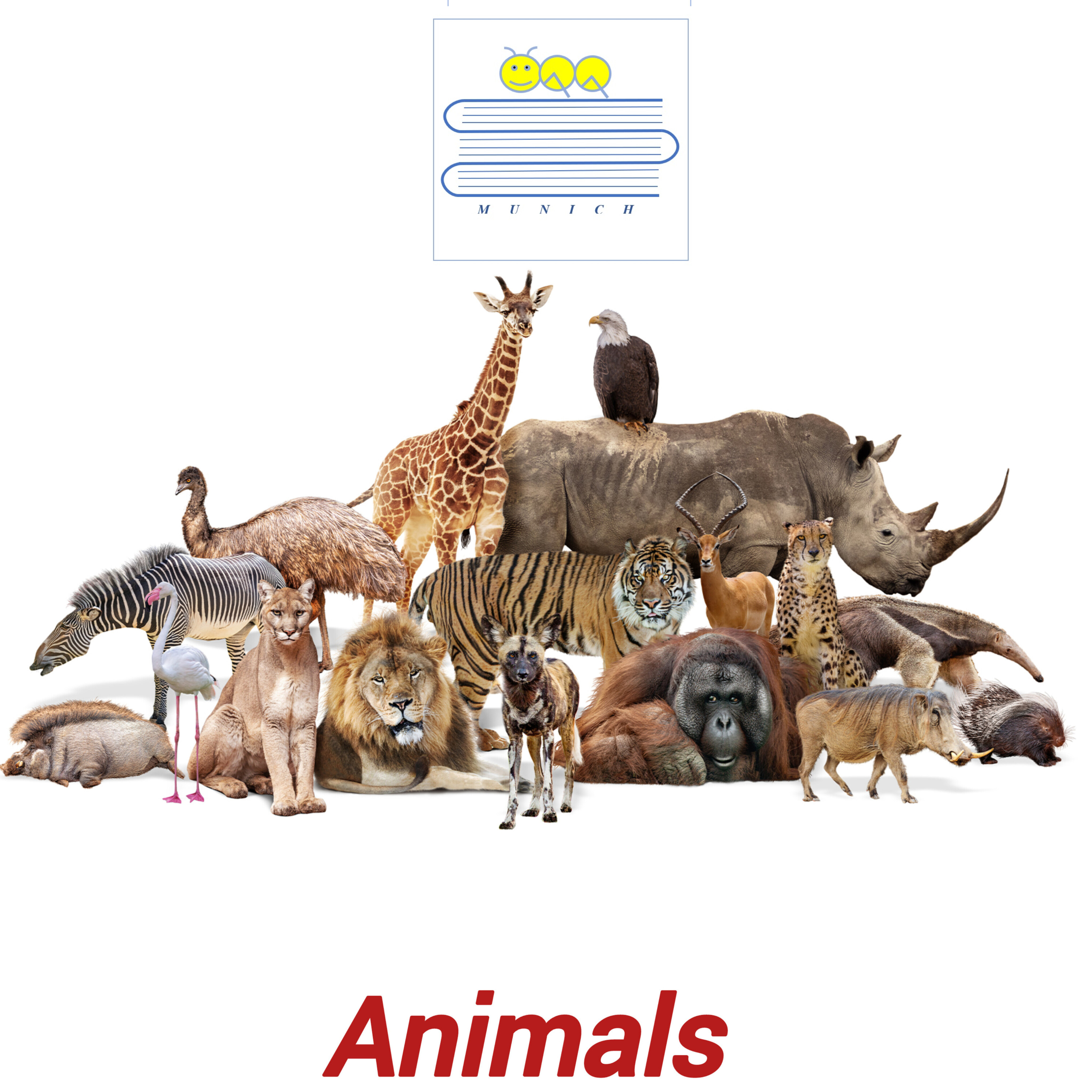 آموزش اسامی انگلیسی حیوانات و حشرات به کودکان