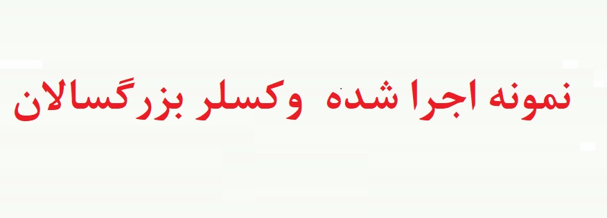 نمونه تفسیر وکسلر بزرگسال - نمونه آزمون انجام شده وکسلر (نمونه اول)