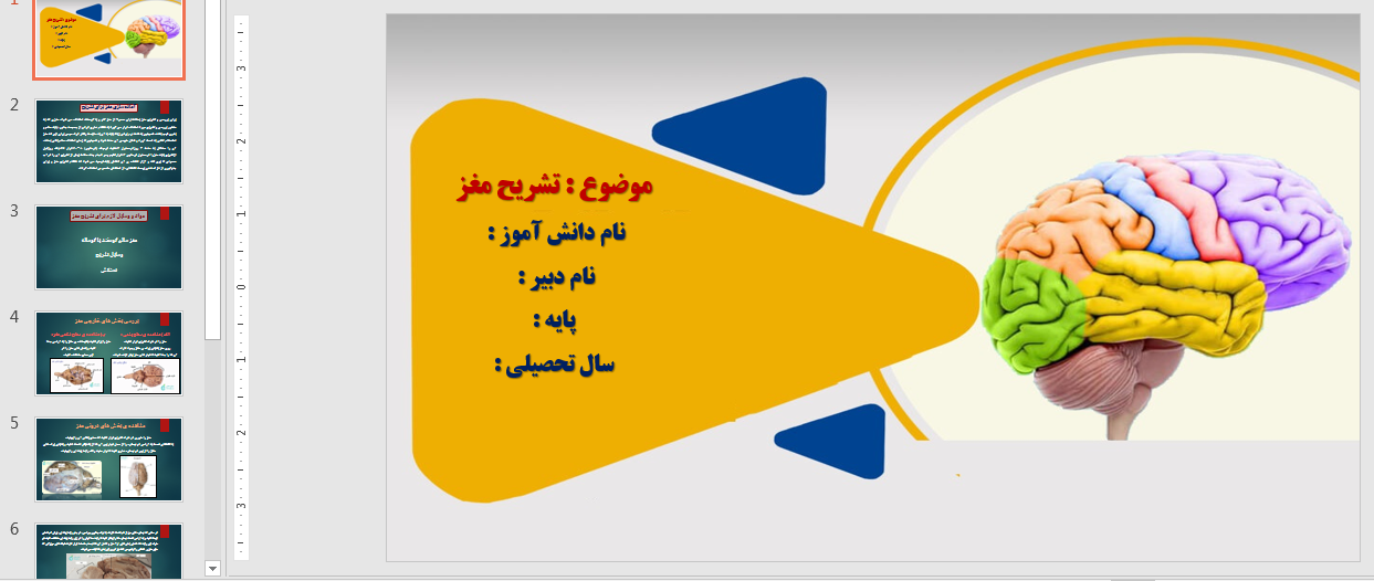 پاورپوینت تشریح مغز