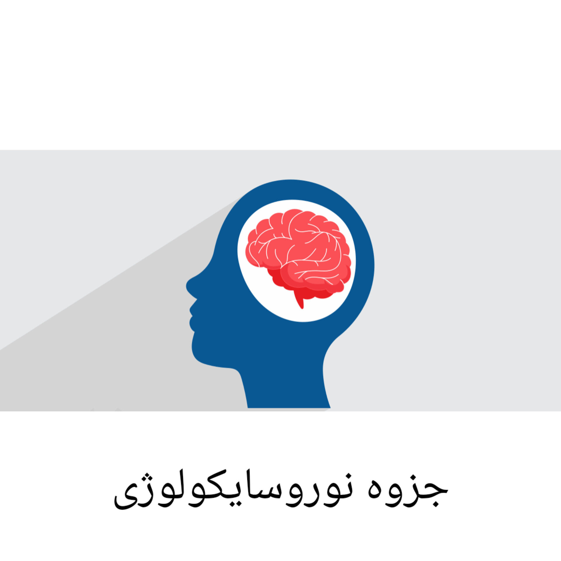 جزوه طلایی نوروسایکولوژی (فیزیولوژیک)