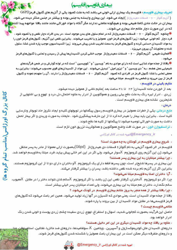 (نسخه کامل)✅           📝جزوه: بیماری فاویسم