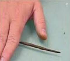 پاورپوینت آزمایشگاه مکانیک خاک آزمایش: بررسی تغییرات رطوبتی خاک (حدود اتربرگ – حد خمیری(PL)) در12 اسلاید کاملا قابل ویرایش