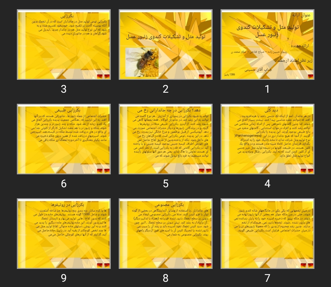 پاورپوینت تولید مثل و تشکیلات کندوی زنبور عسل