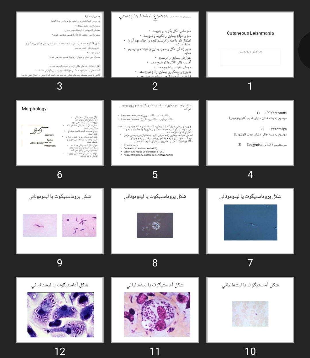 پاورپوینت Cutaneous Leishmania