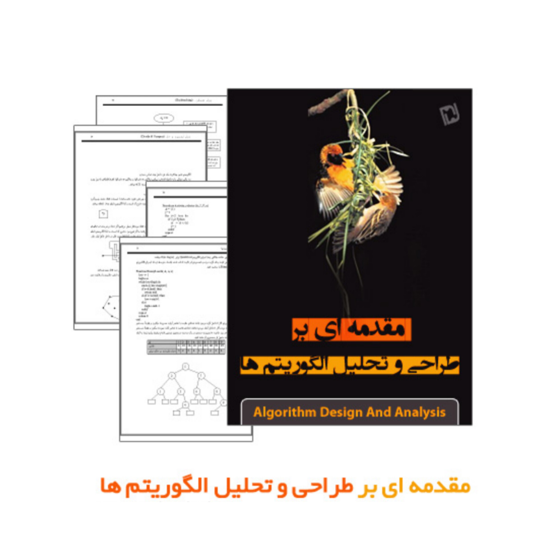 جزوه مقدمه ای بر طراحی و تحلیل الگوریتم ها (PDF قابل سرچ)