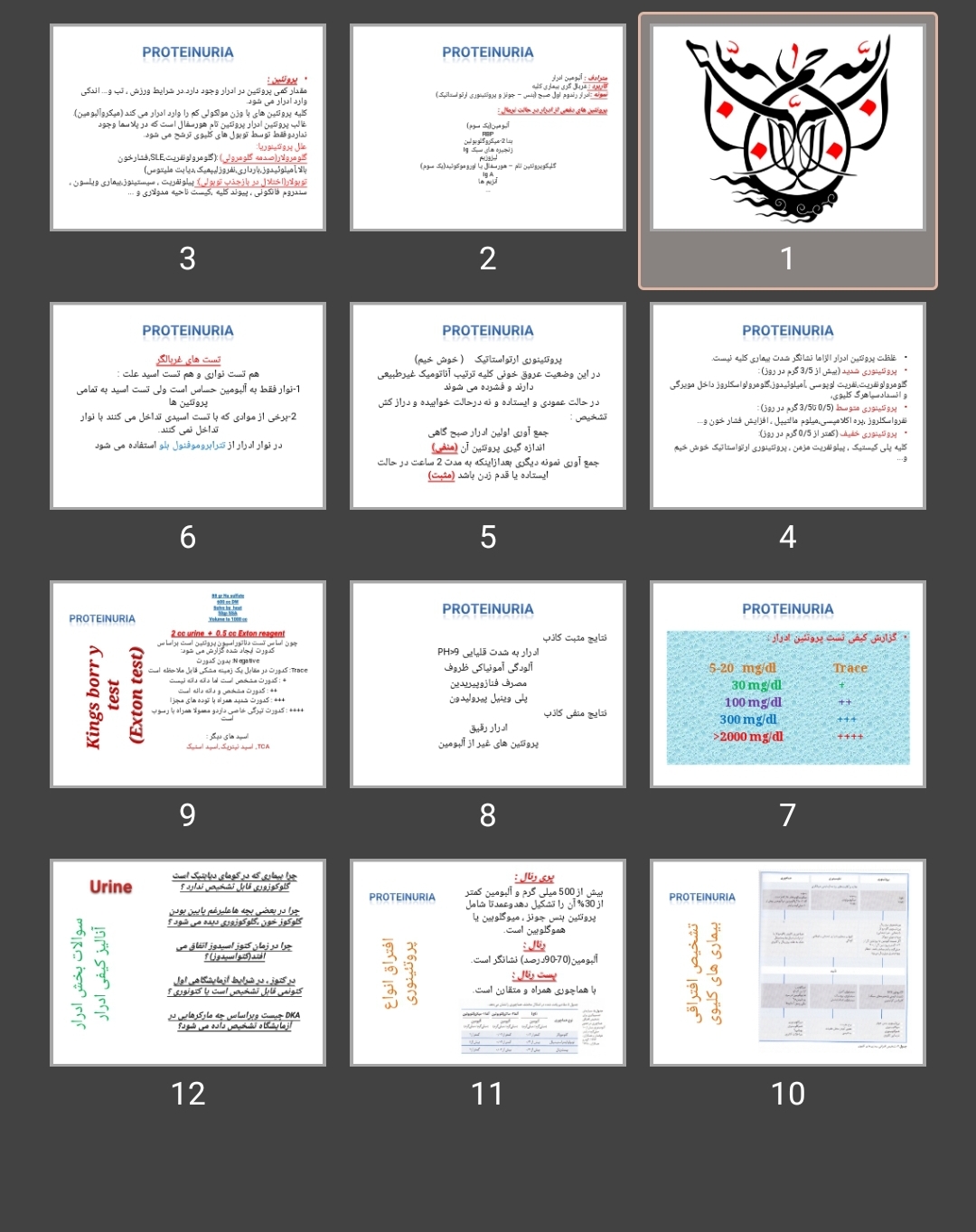 پاورپوینت Proteinuria