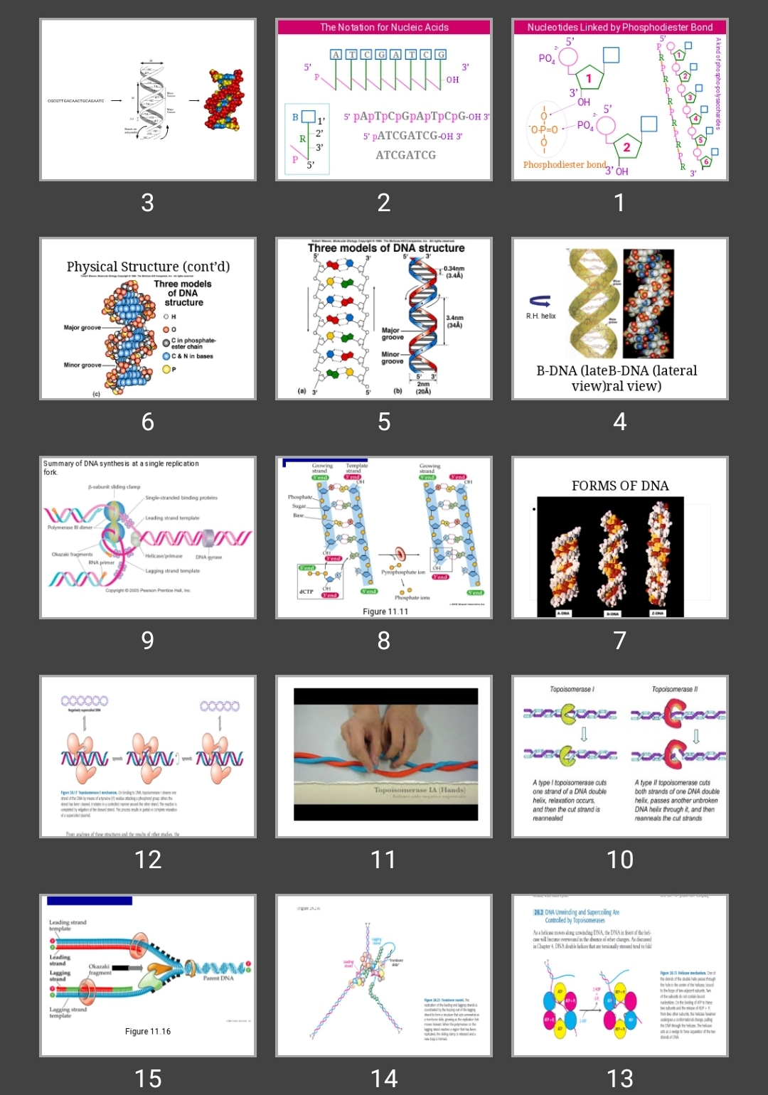 پاورپوینت DNA medicen