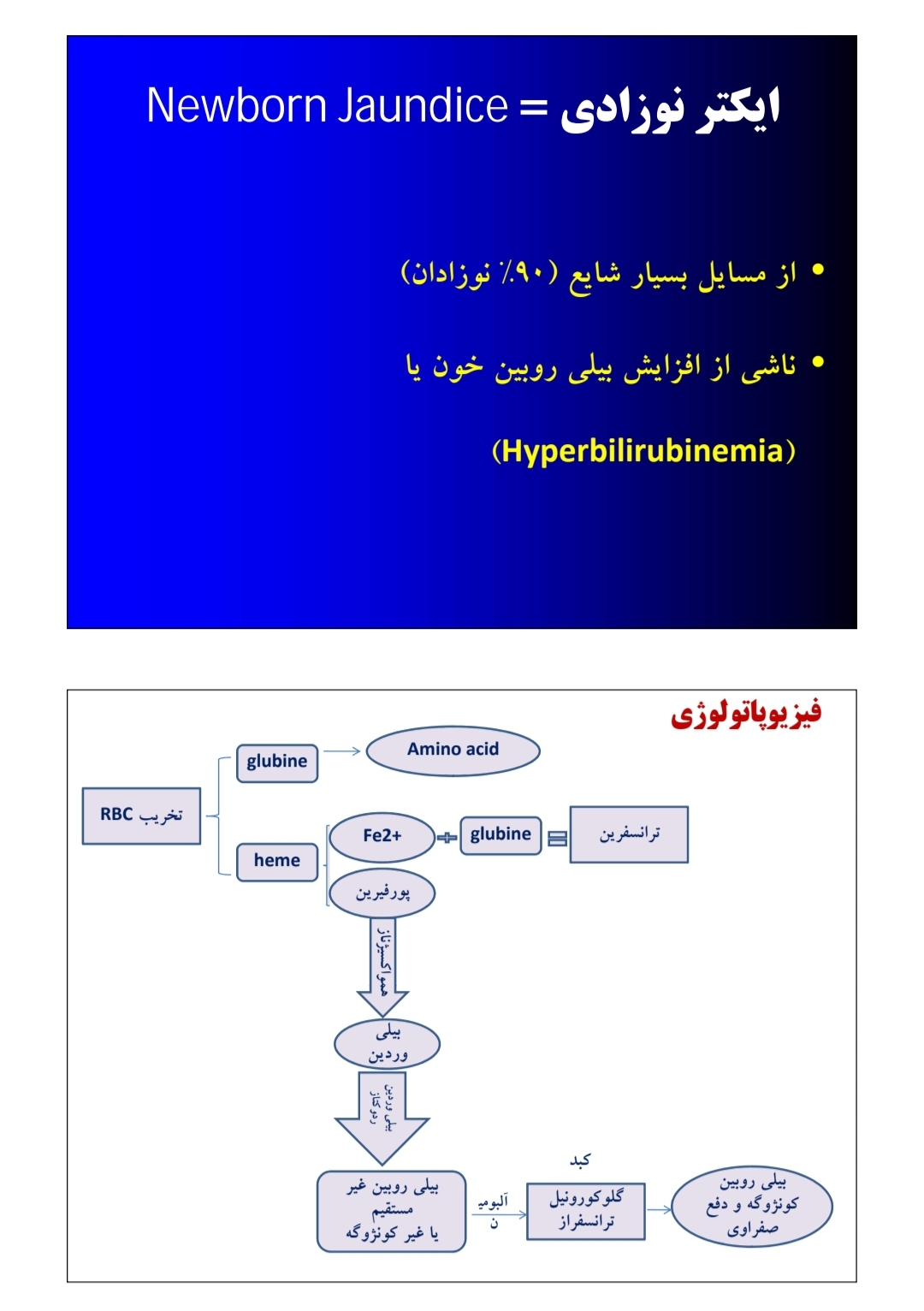 جزوه زردی ایکتر نوزادان