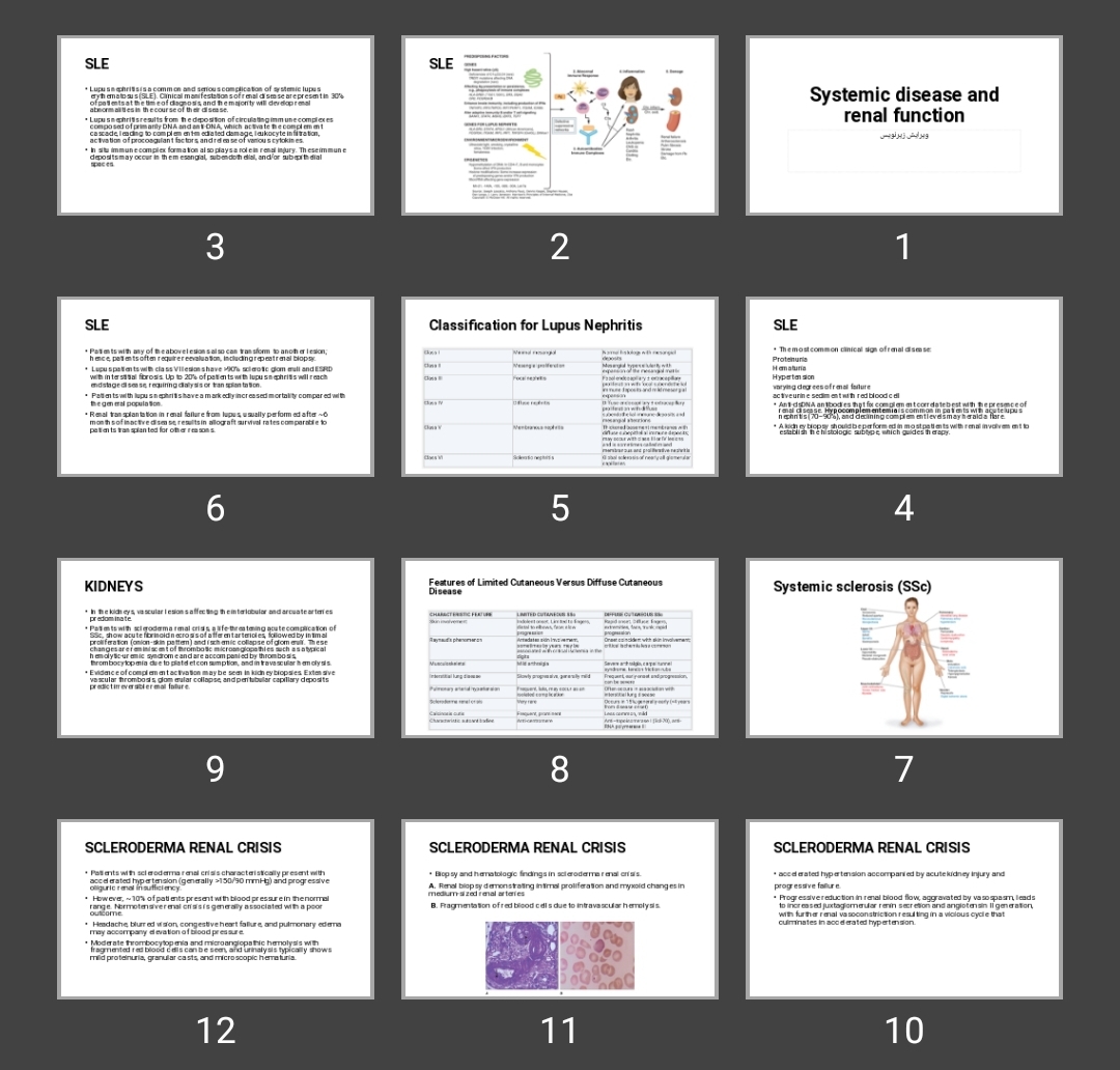 پاورپوینت Systemic disease and renal function