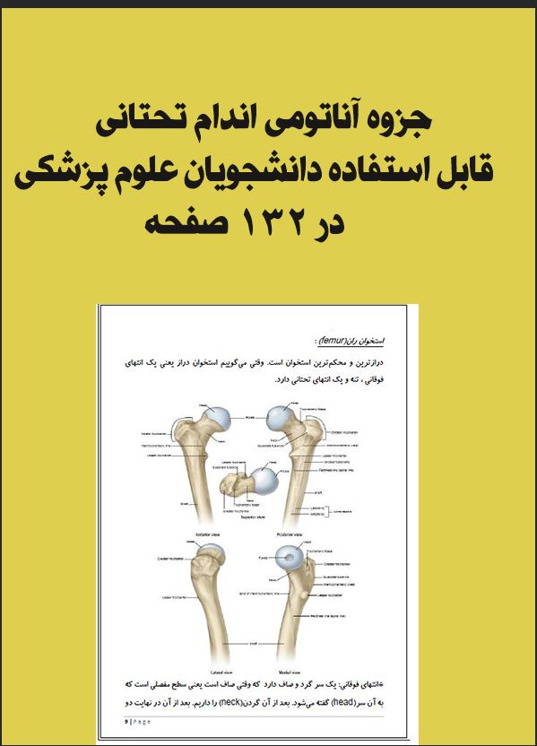 جزوه آناتومی اندام تحتانی قابل استفاده دانشجویان علوم پزشکی در 132 صفحه پی دی اف رنگی
