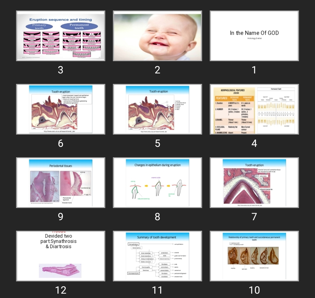 پاورپوینت ۲ HISTOLOGY OF DENTAL