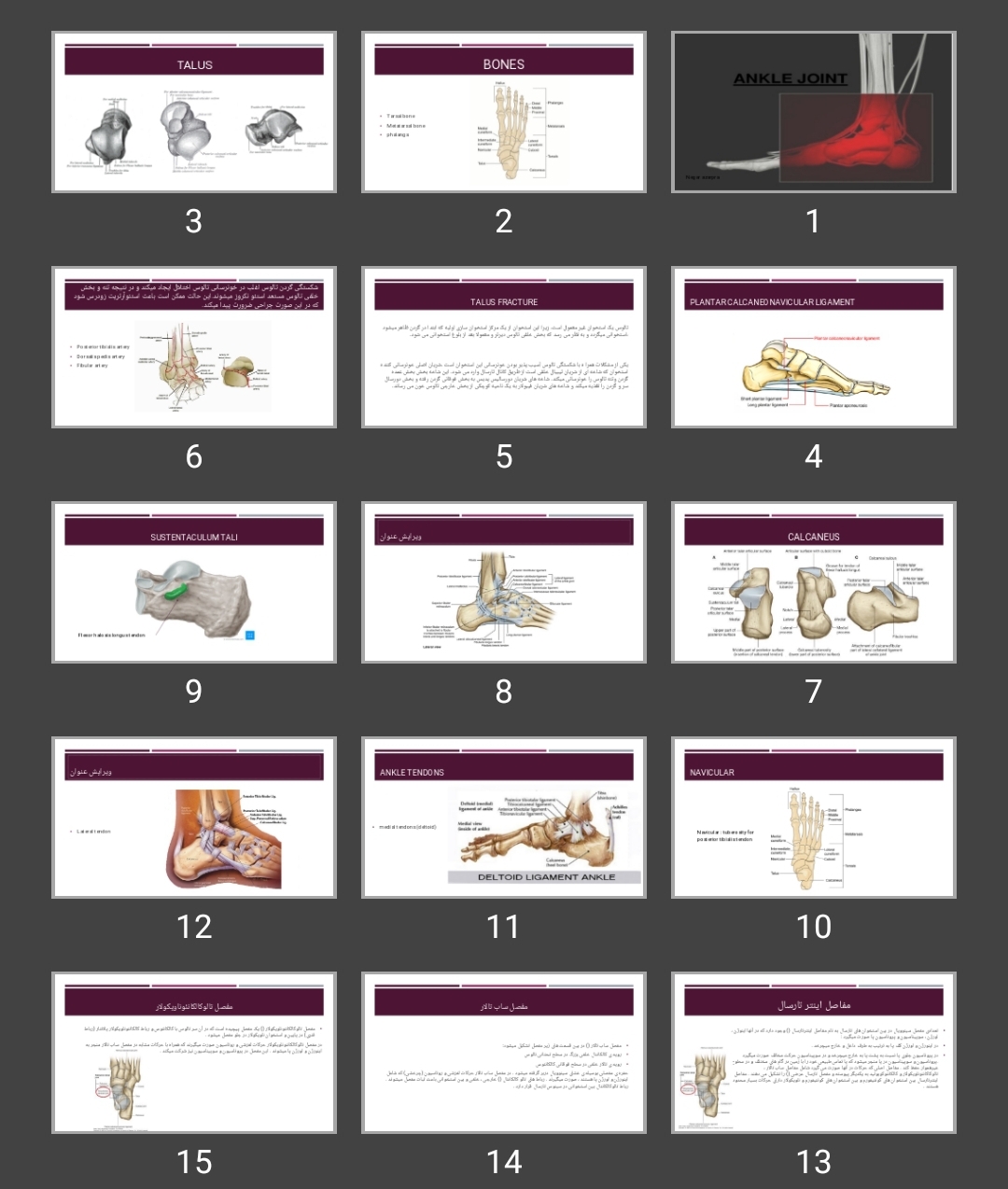 پاورپوینت Ankle joint