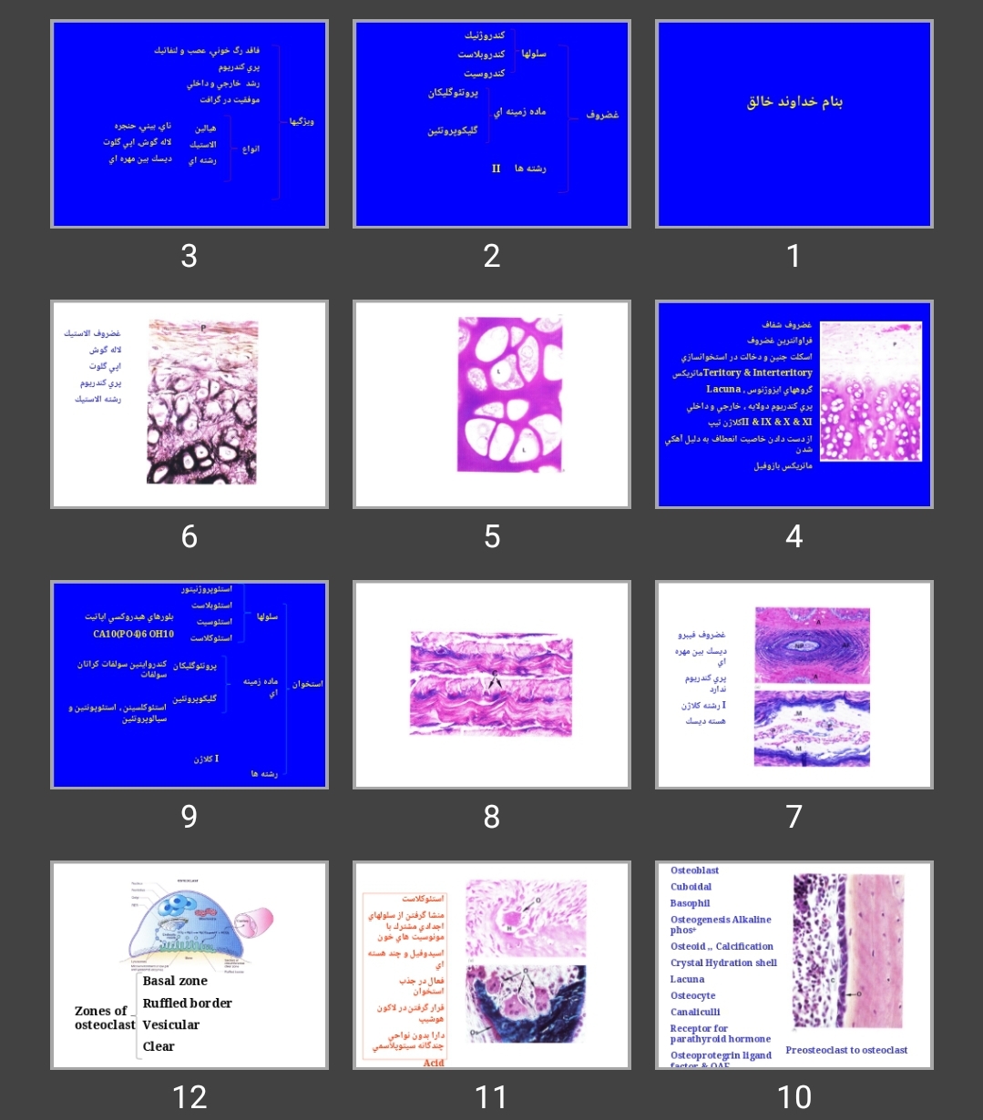 پاورپوینت Bone Osteogenesios