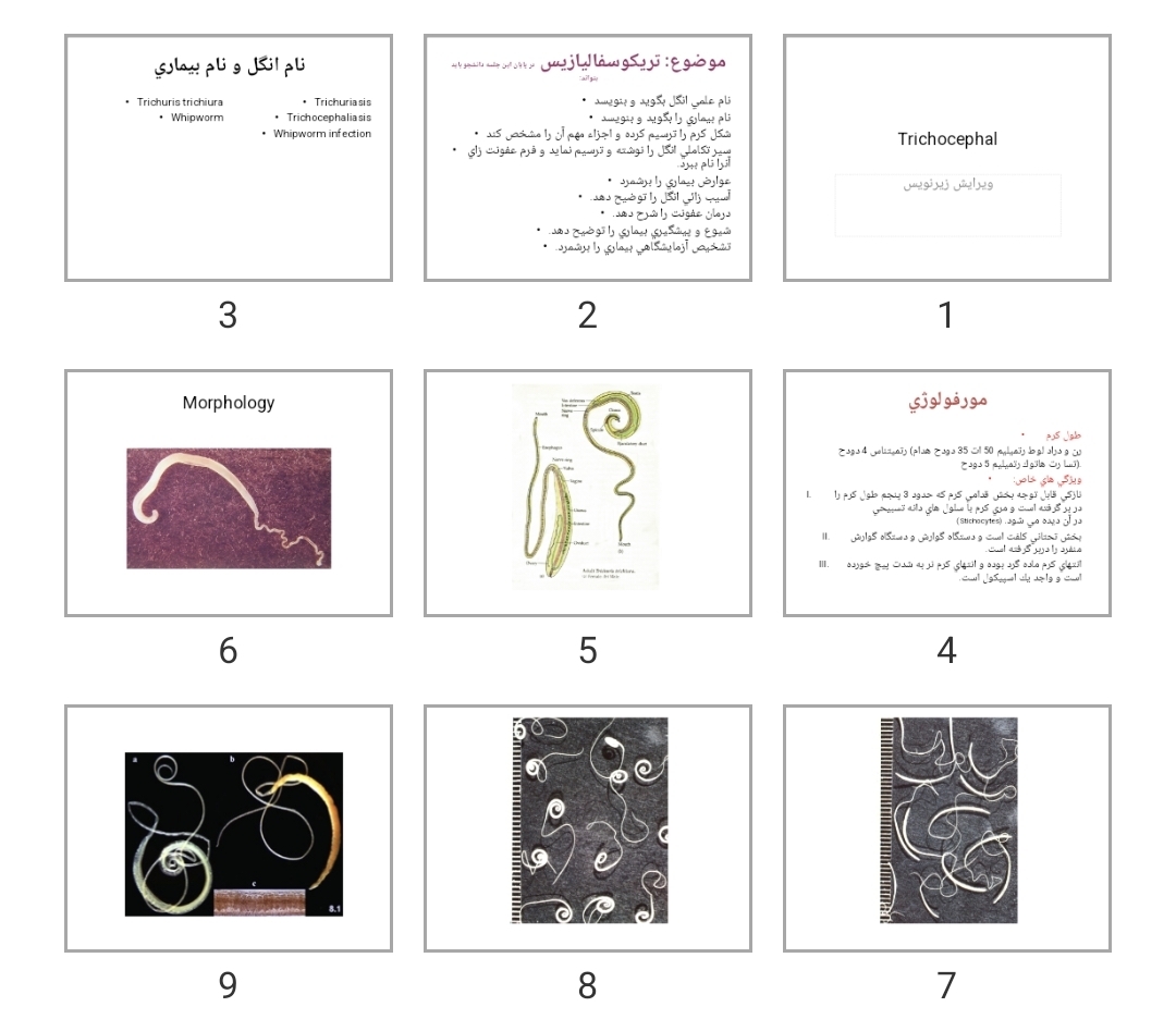 پاورپوینت تريكوسفاليازيس