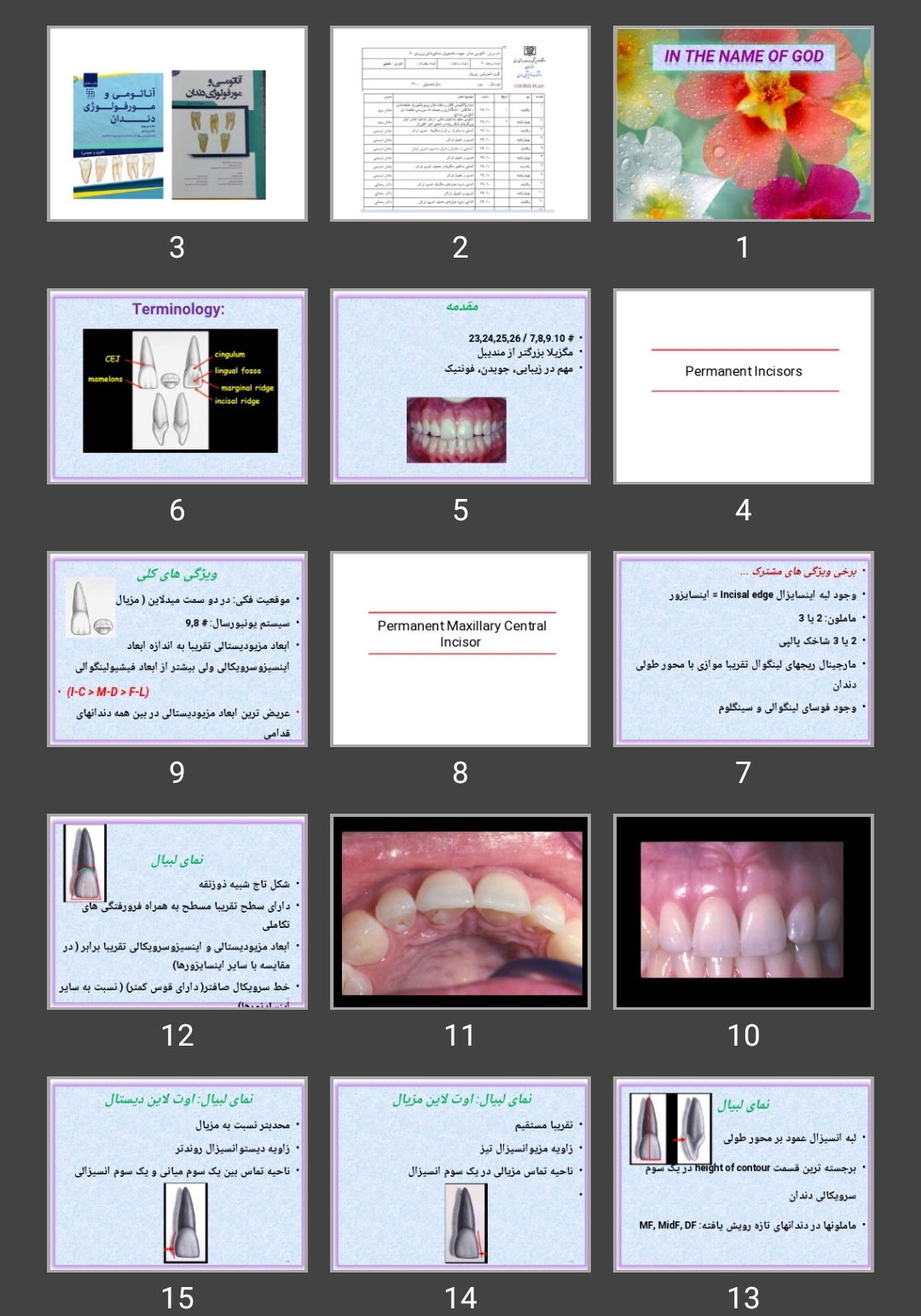 پاورپوینت آناتومی سنترال و لترال
