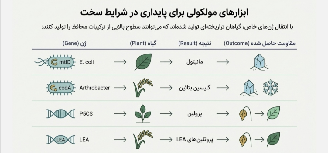 پاورپوینت /PDF تخصصی فصل 19- اصول بیوتکنولوژی گیاهی -مبحث کاربردهای مهندسی ژنتیک گیاهی