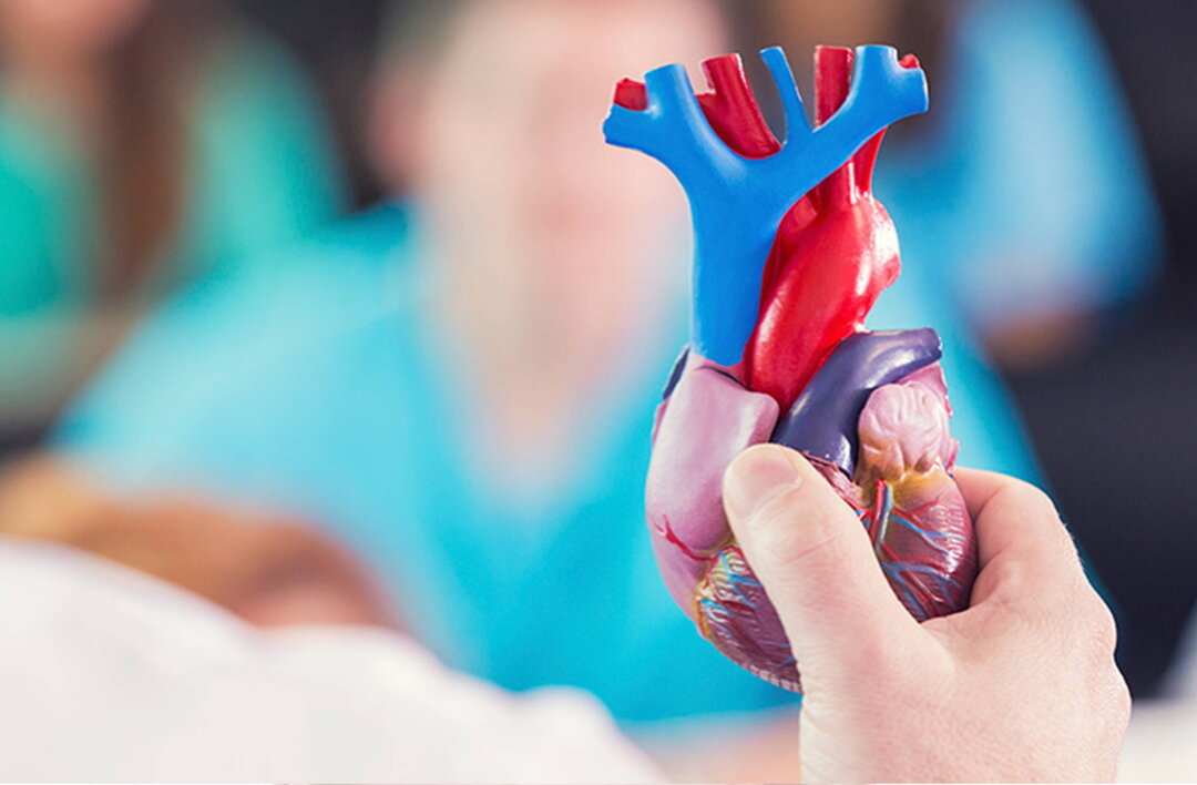 پمفلت با موضوع قلب