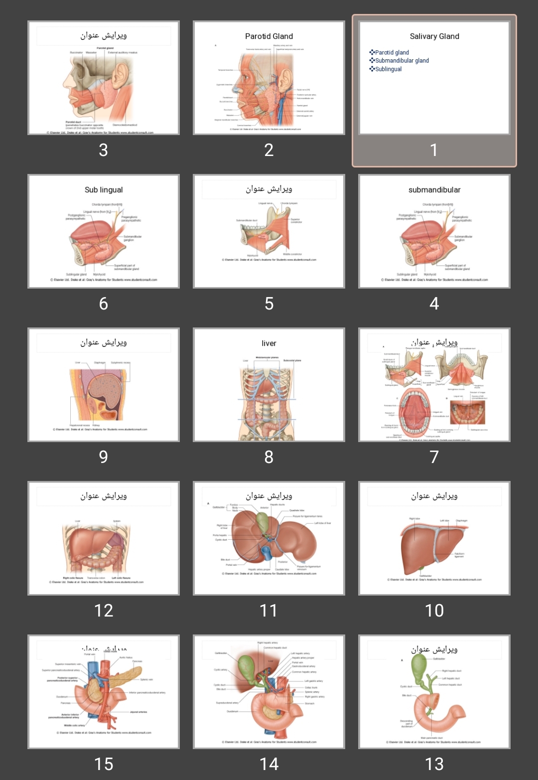 پاورپوینت Salivary Gland غدد