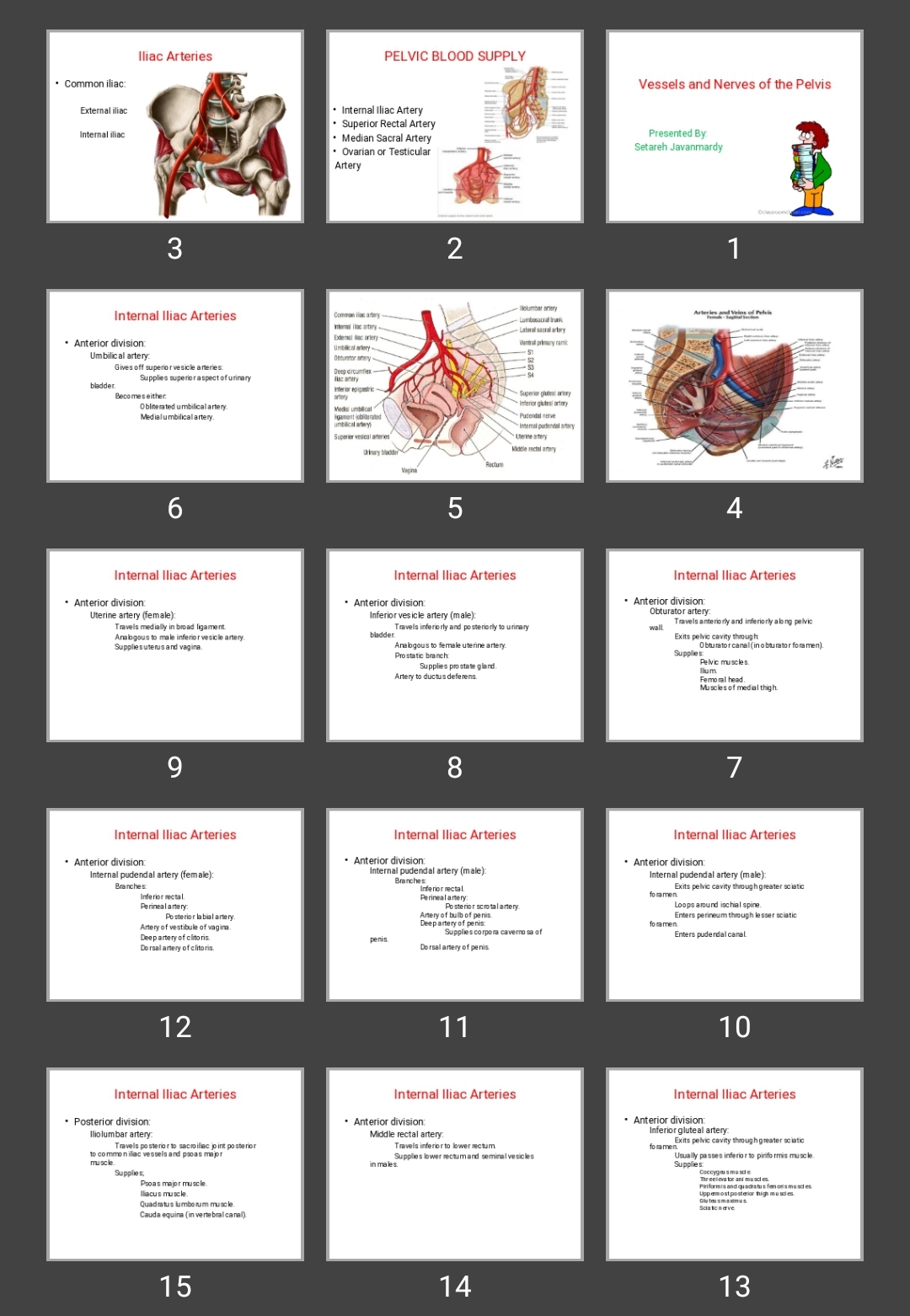 پاورپوینت Vessels and Nerves of the Pelvis