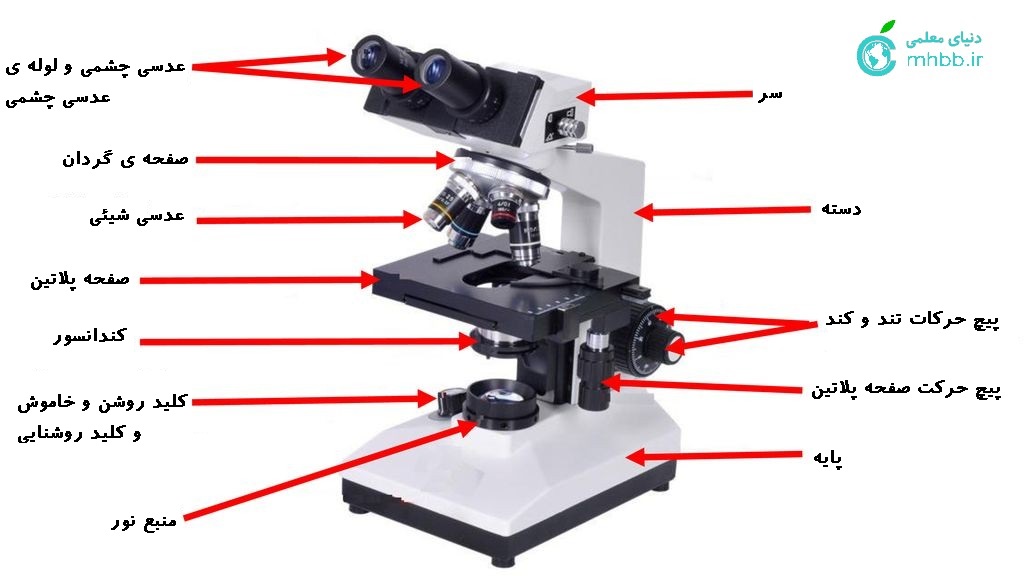 گزارشکار بررسی میکروسکوپ نوری