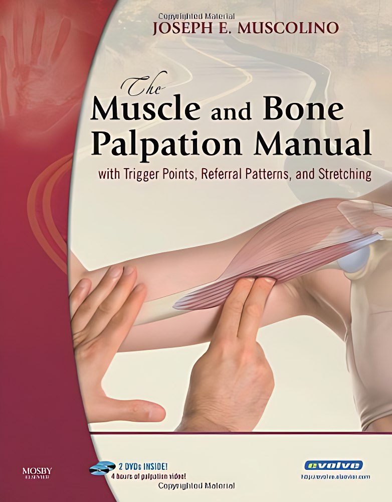 دانلود کتاب Joseph E. Muscolino DC - The Muscle and Bone Palpation Manual with Trigger Points, Referral Patterns and Stretching (2009, Mosby) - libgen.li زبان اصلی و اورجینال