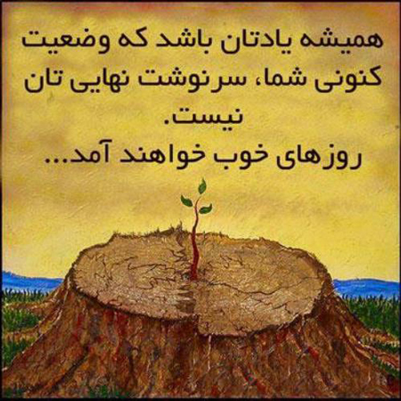 کفاشی در کوچه خلوت (داستان کوتاه و شنیدنی )