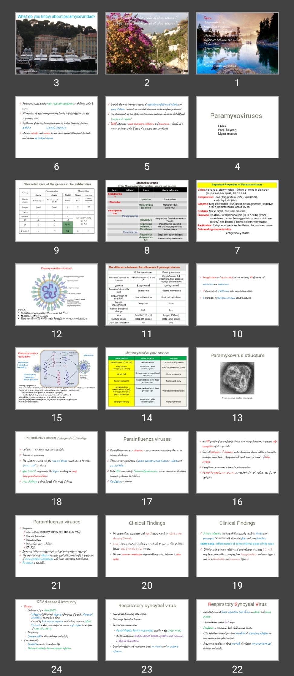 پاورپوینت Paramyxoviruses