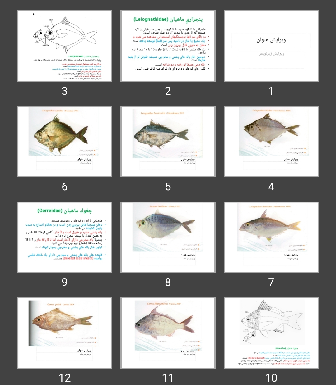 پاورپوینت ماهی پنجزاری، چغوک، بزماهيان