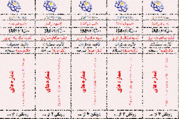 لیبل روی زونکن صورت جلسه های تائید عملیات پروژه