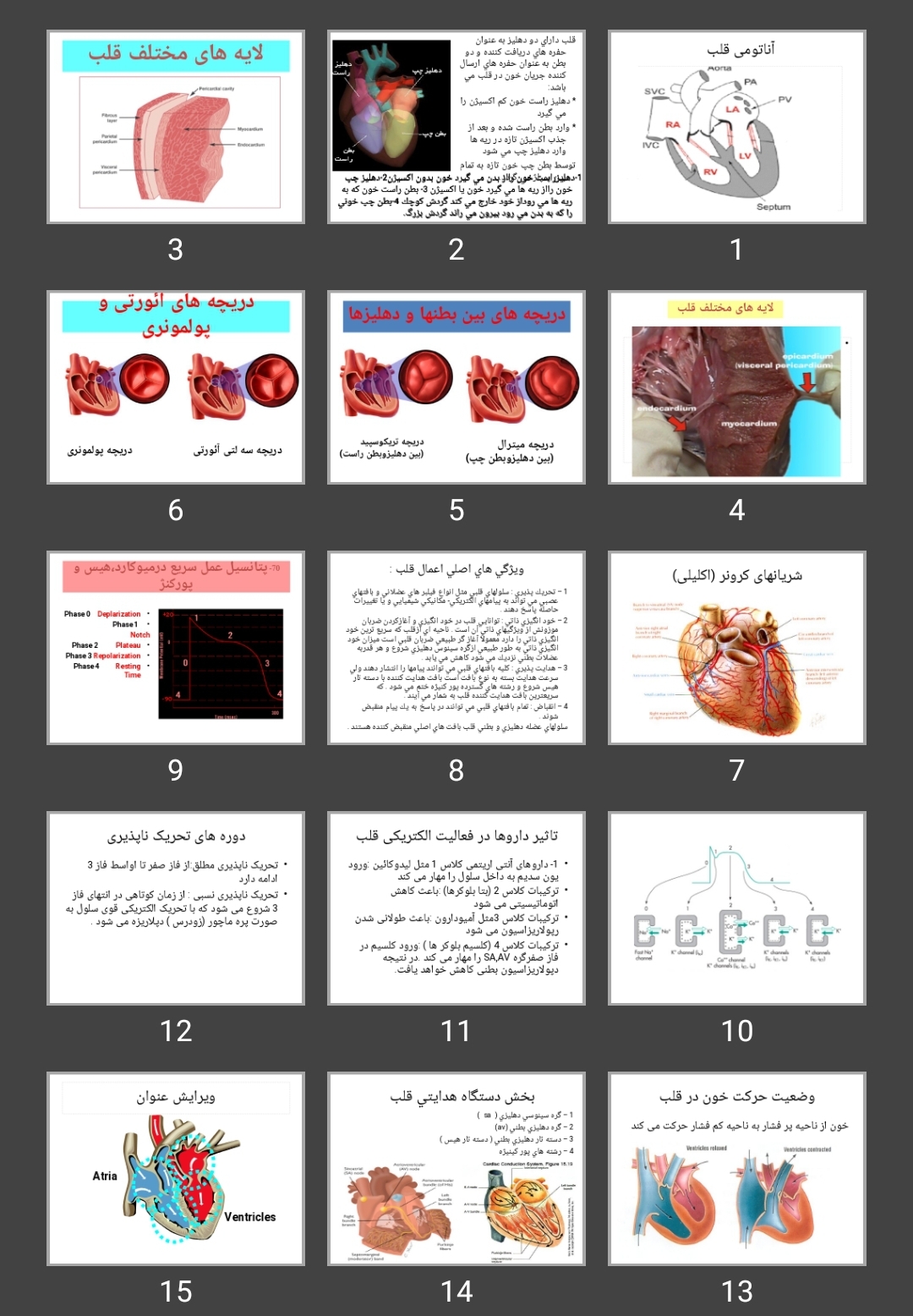 پاورپوینت آناتومی قلب