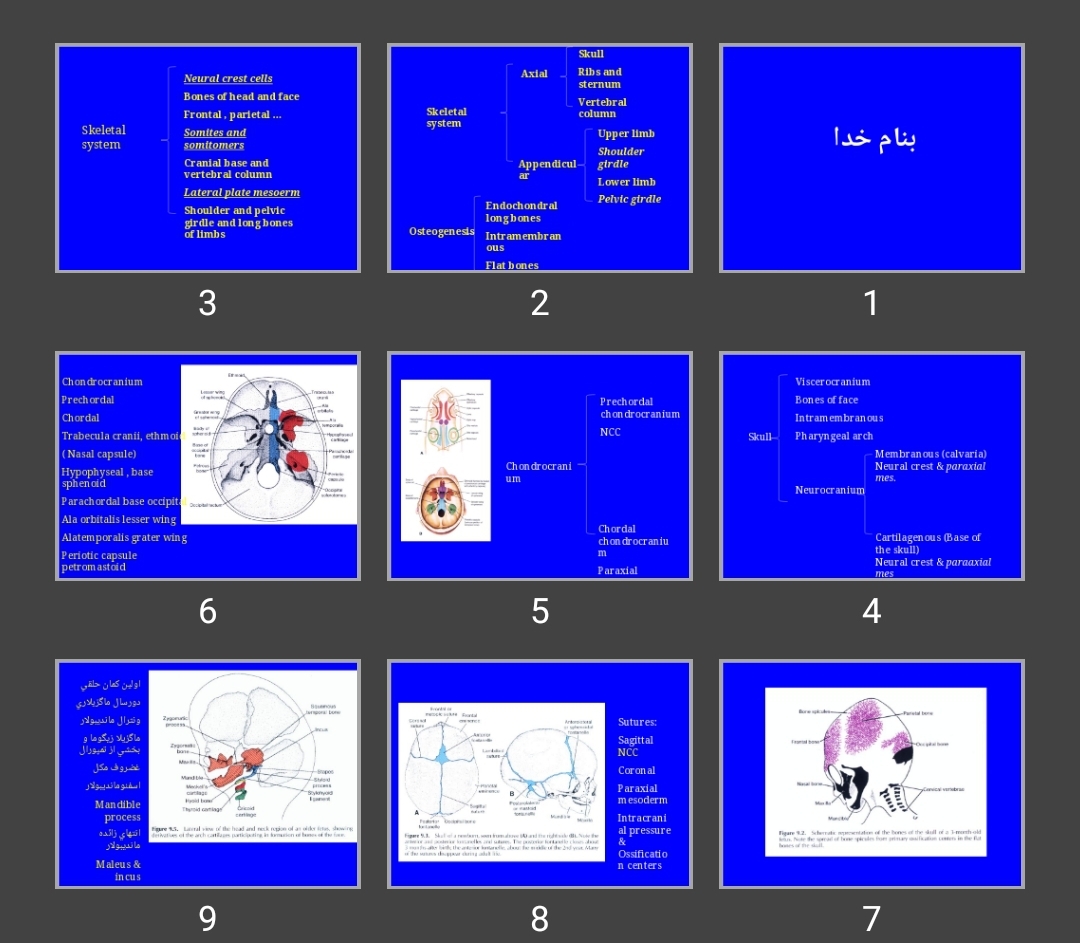 پاورپوینت Skeletal system