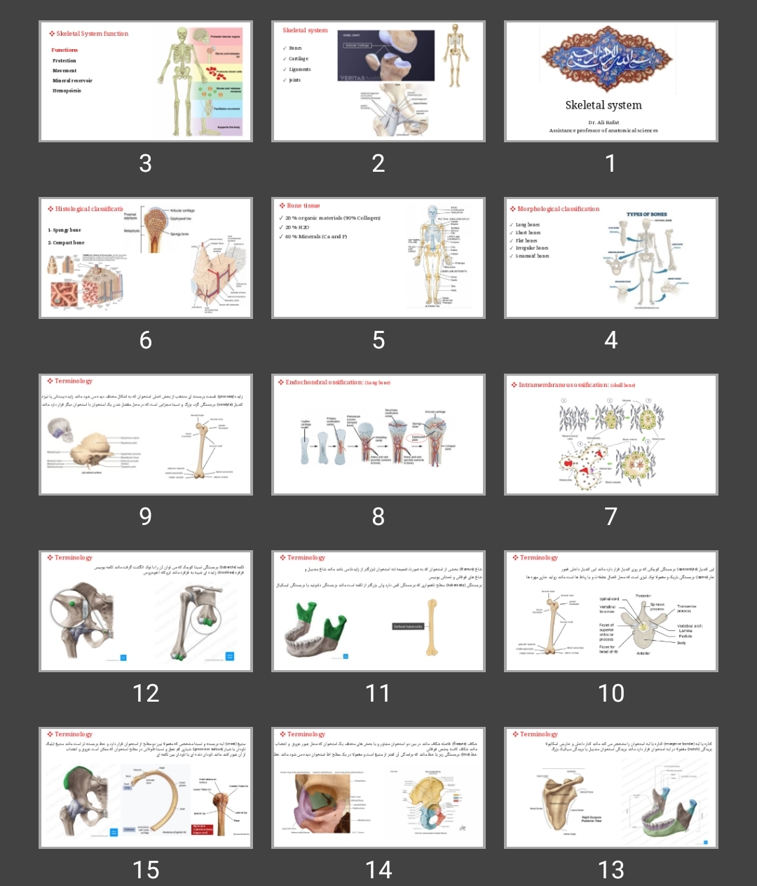 پاورپوینت Skeletal system