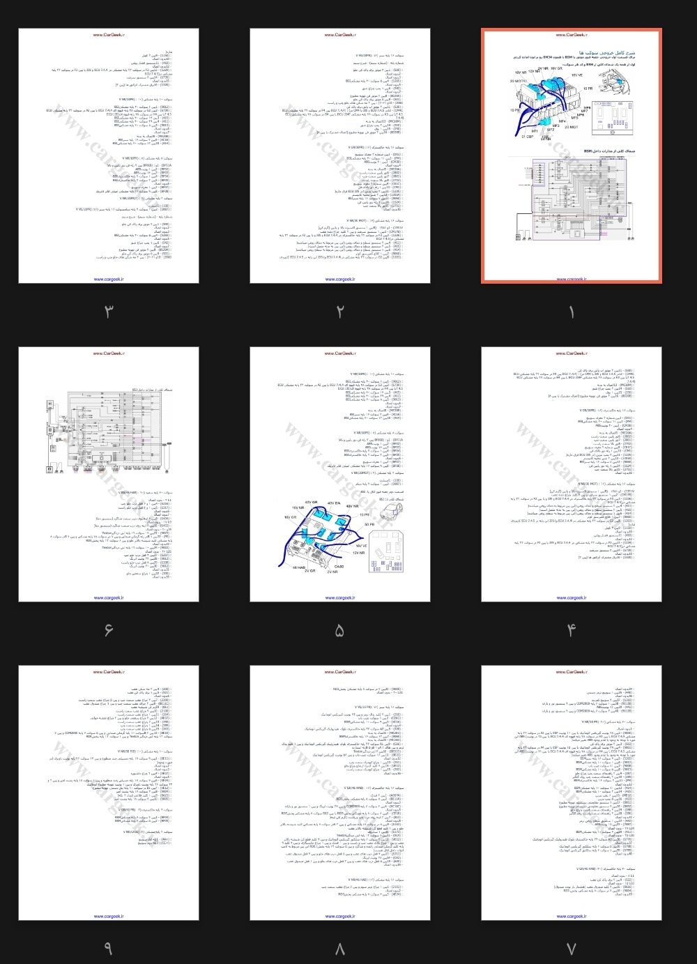 جزوه پین اوت Peugeot206_BSM_BSI_ECU_PinLayout