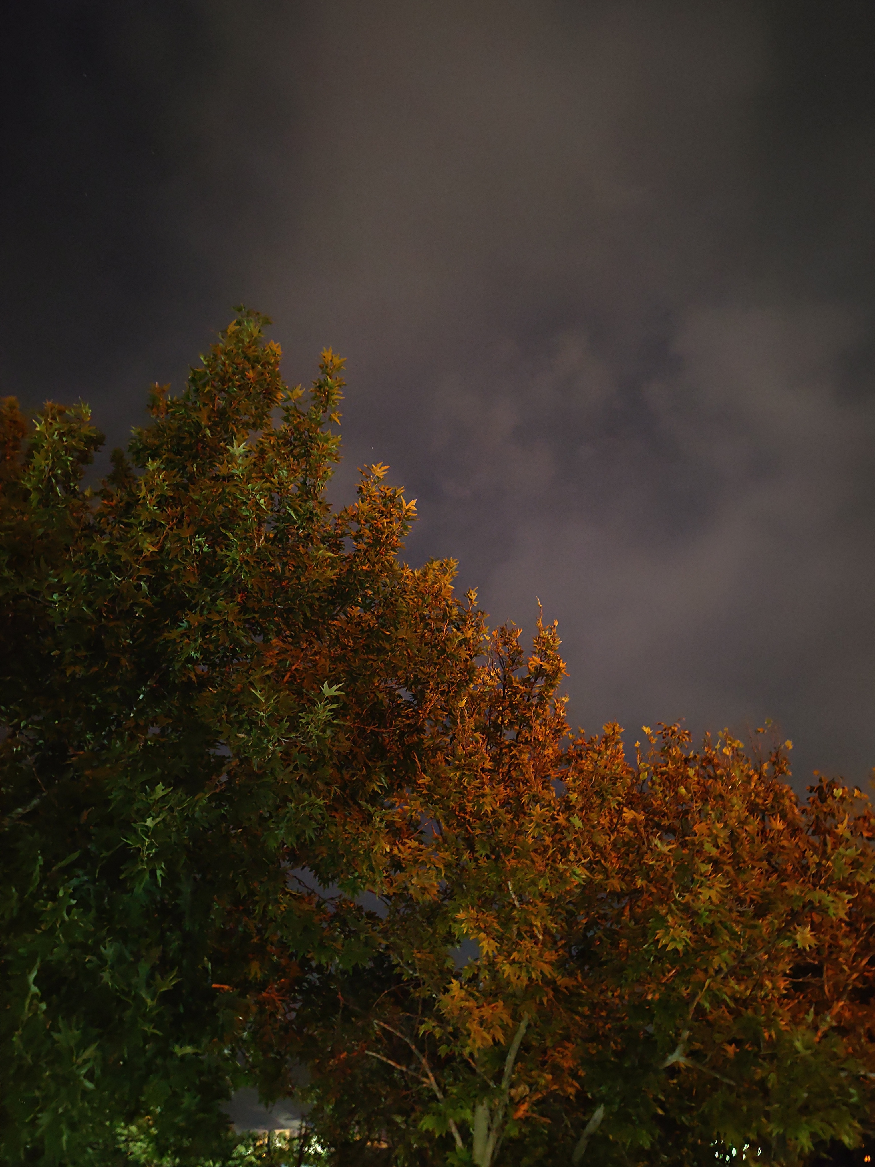 دکلمه بوم زندگی