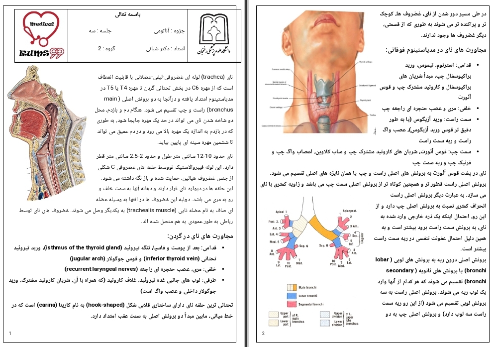 جزوه تنفس جلسه ۳