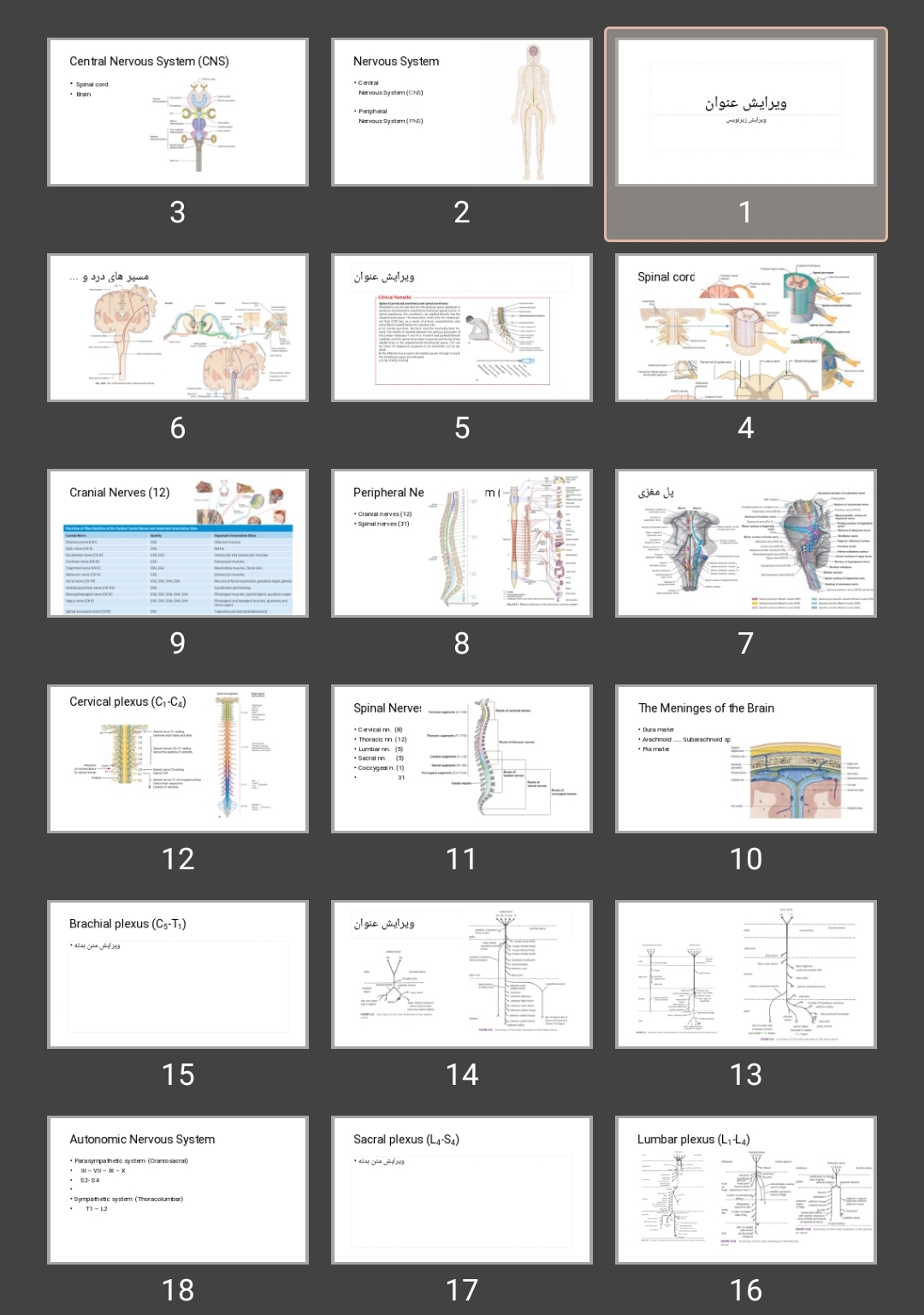 پاورپوینت Nervous System