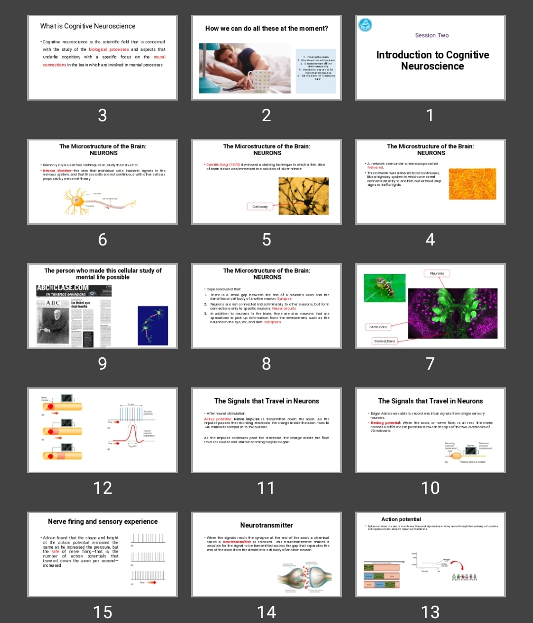 پاورپوینت Introduction to Cognitive Neuroscience