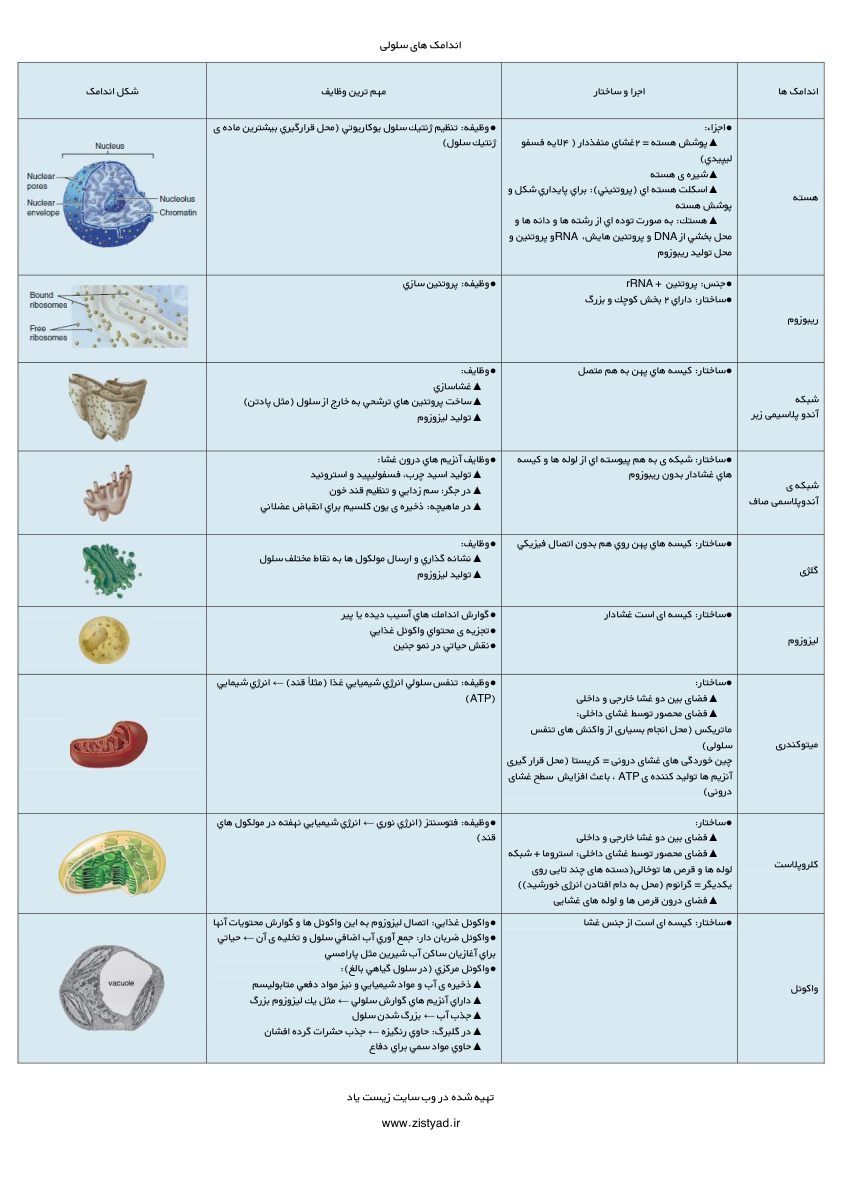 اندامک های سلولي 🔬 نسخه کامل ✅