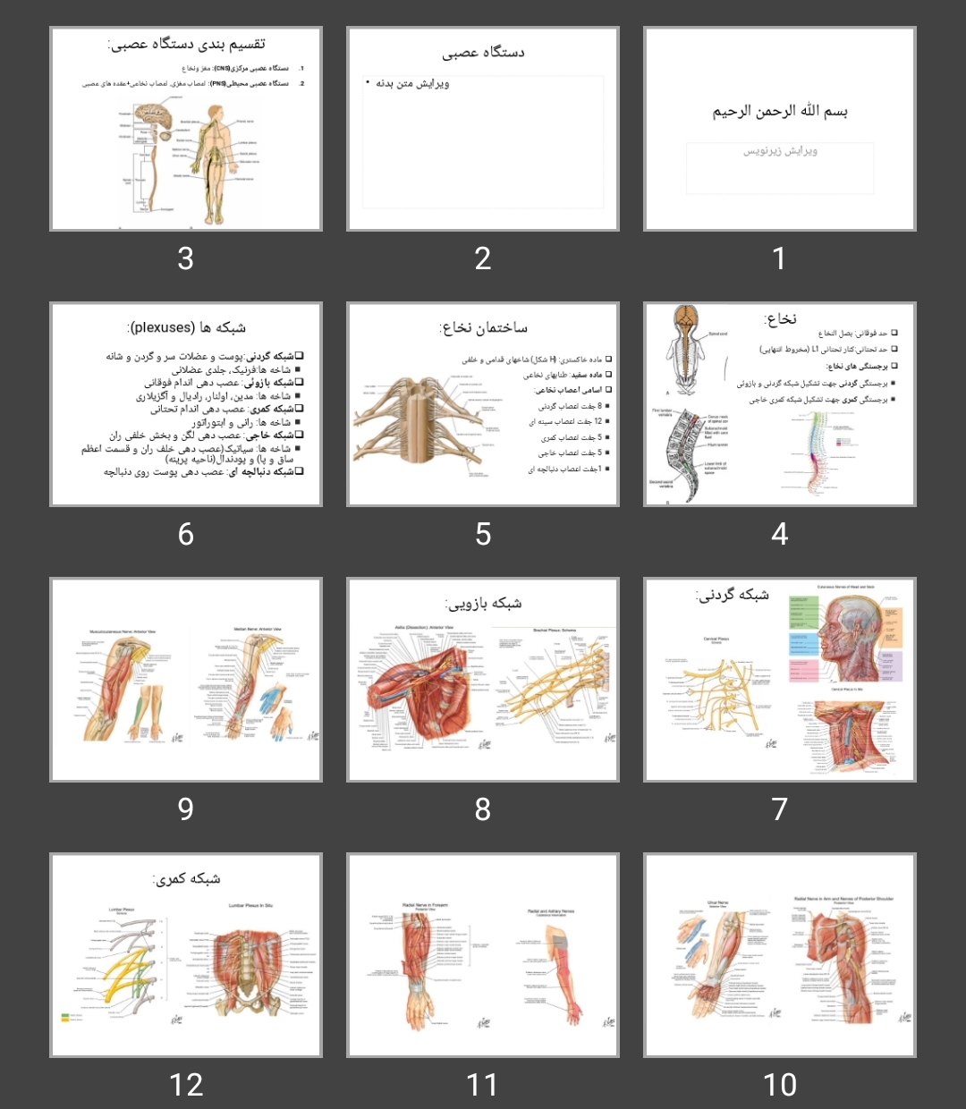 پاورپوینت دستگاه عصبی