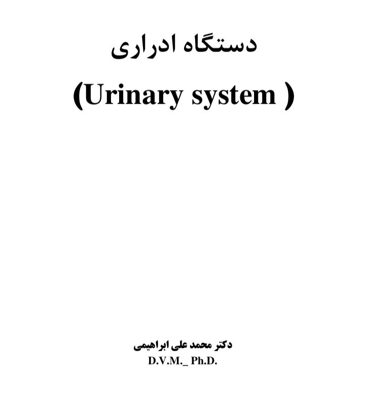 جزوه دستگاه ادراری - تایپی کامل