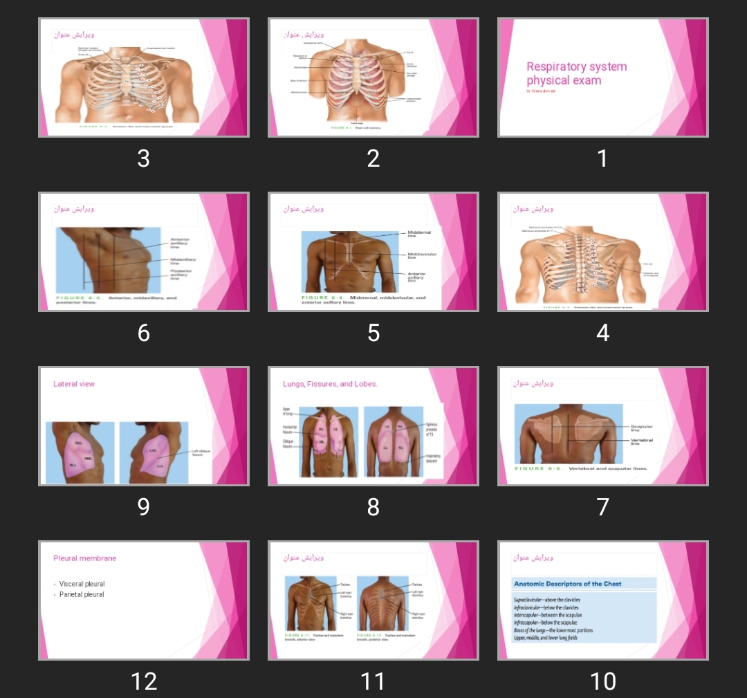 پاورپوینت Respiratory system physical exam