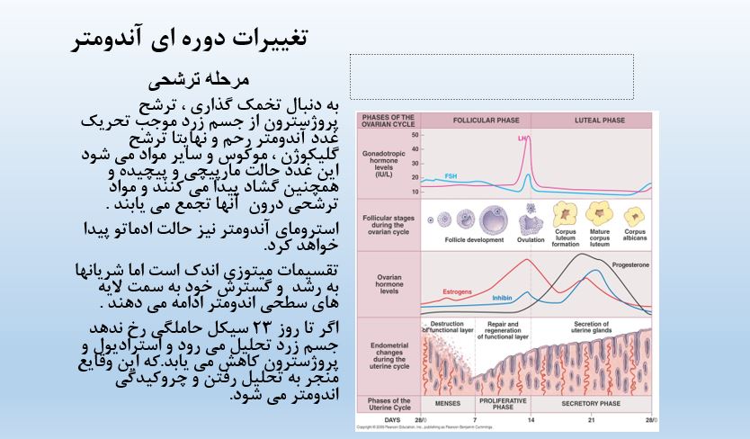 پاورپوینت فیزیولوژی قاعدگی در 34 اسلاید قابل ویرایش قابل استفاده دانشجویان زیر مجموعه پزشکی