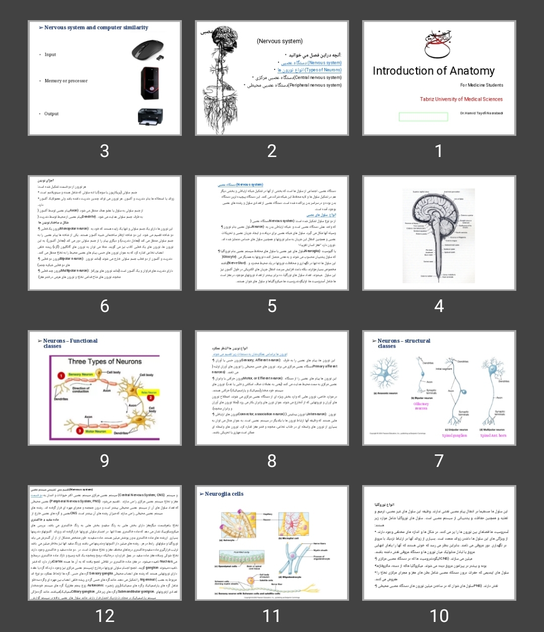 پاورپوینت Introduction of Anatomy