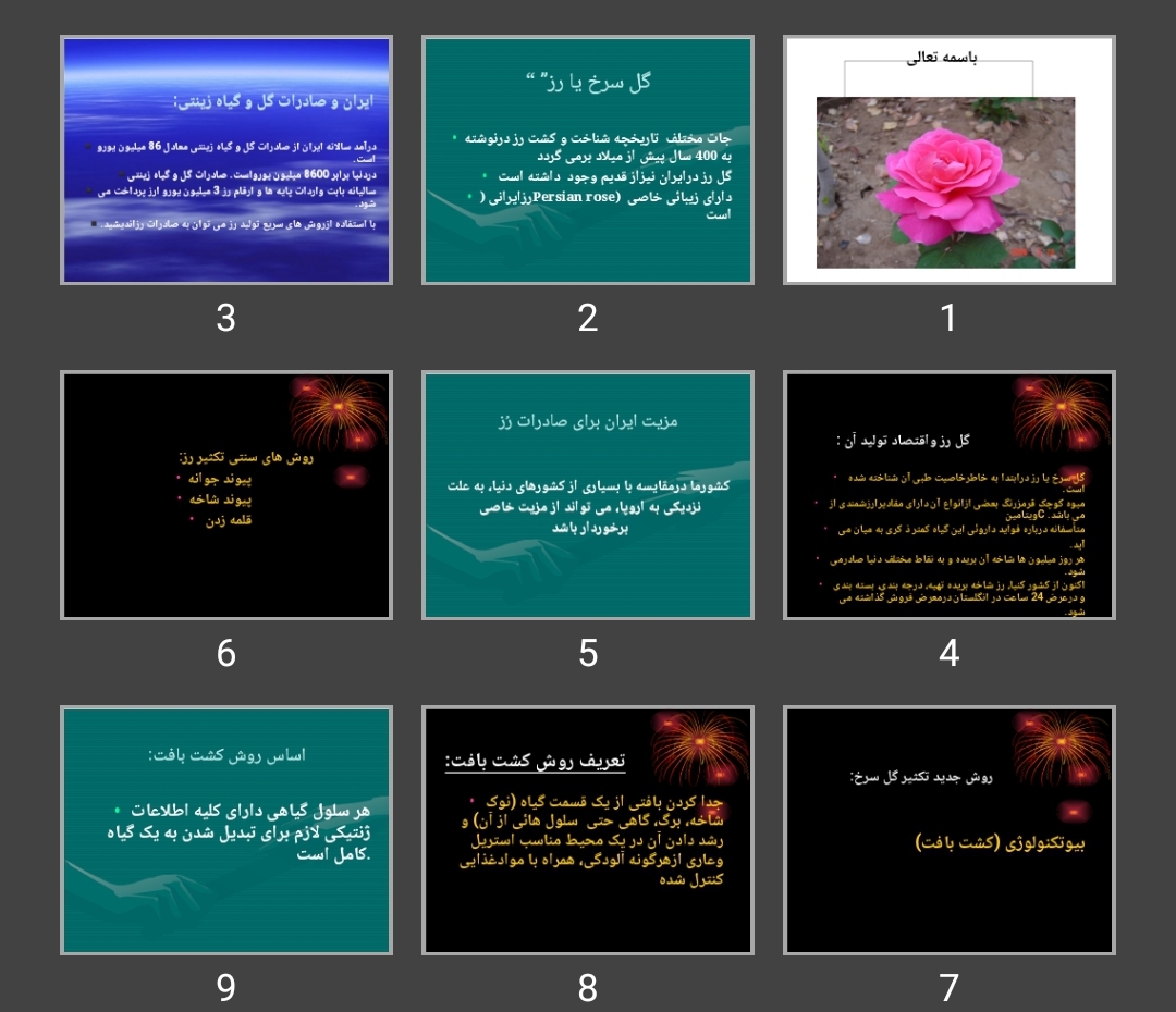 پاورپوینت گل رز یا سرخ