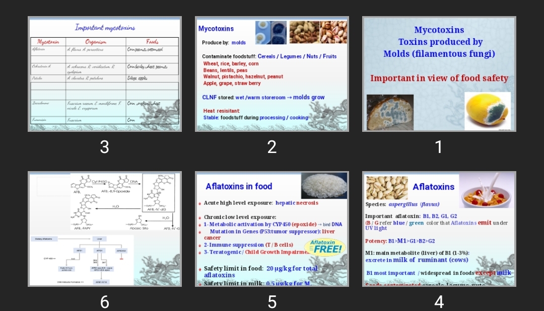 پاورپوینت Mycotoxins