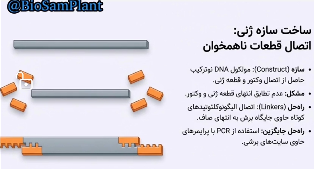 مفهوم_سازه آنزیم_محدود_کننده لینکرالیگونوکلئوتیدهای_کوتاه_مصنوعی سیستم_گالکی سیستم_گیت_وی  وکتور_شاتل کازمید الکتروپوریشن قانون_بقای_پلازمید هضم_جزئی غربال‌گری_ایمونولوژیک پروموتورها  ترانسفورماسیونفاژ_لامبدا کروموزومهای_مصنوعی  مهندسی_ژنتیک پروتئومیک PCR