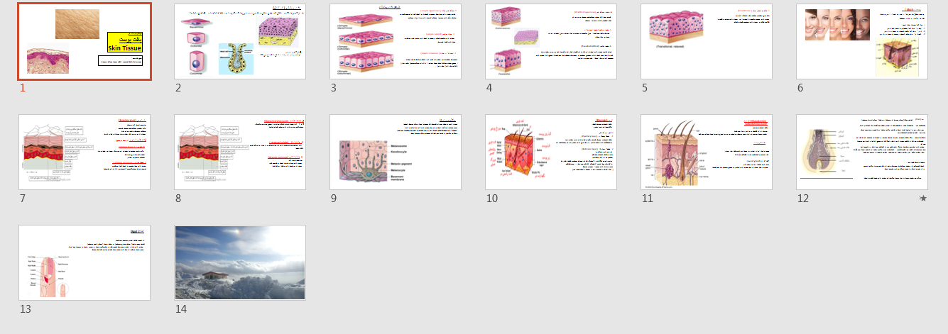 پاورپوینت بافت پوست